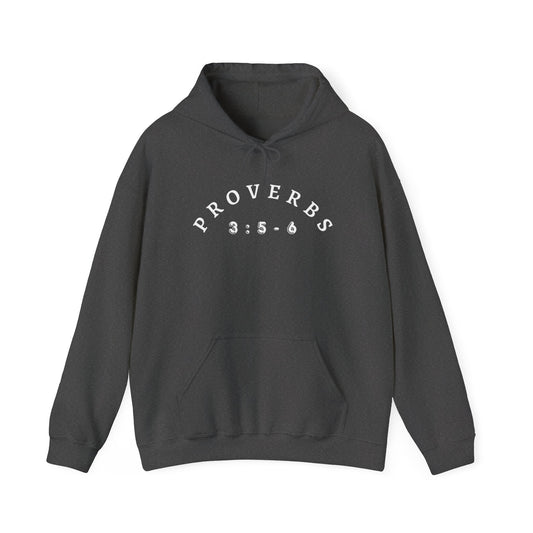 Proverbs 3:5-6 Heavy Blend Hooded Sweatshirt