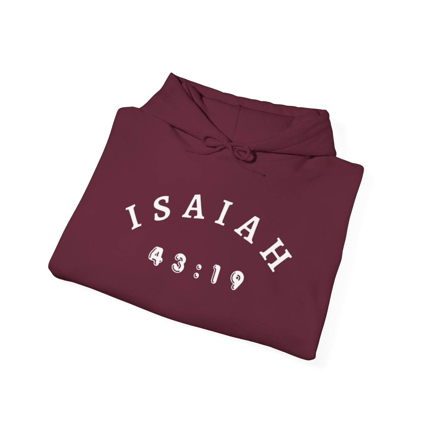 Isaiah 43:19 Hoodie Sweatshirt