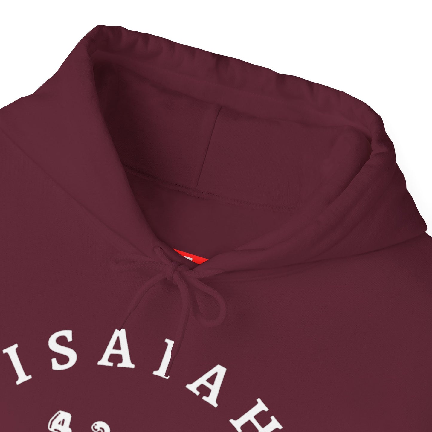 Isaiah 43:19 Hoodie Sweatshirt
