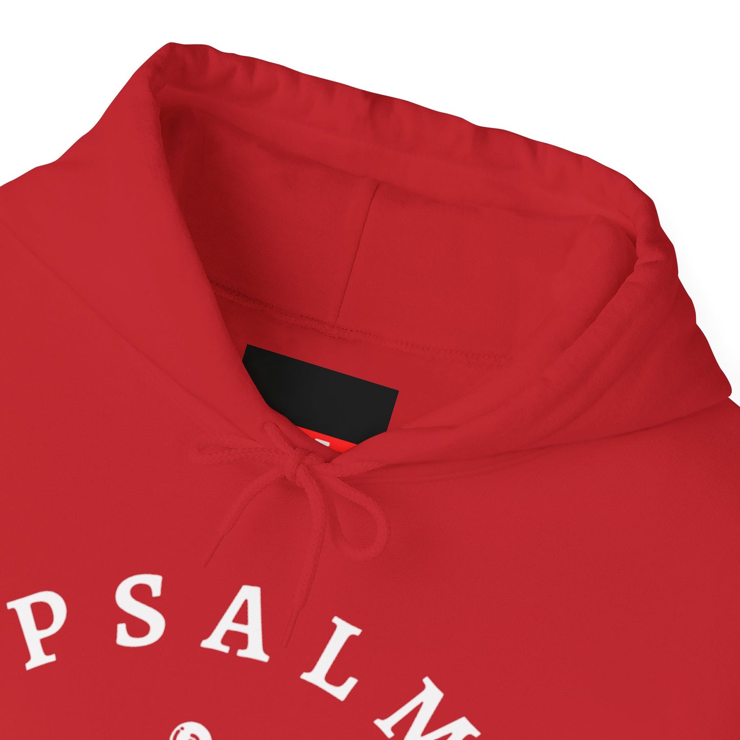 Psalm 91 Hooded Sweatshirt