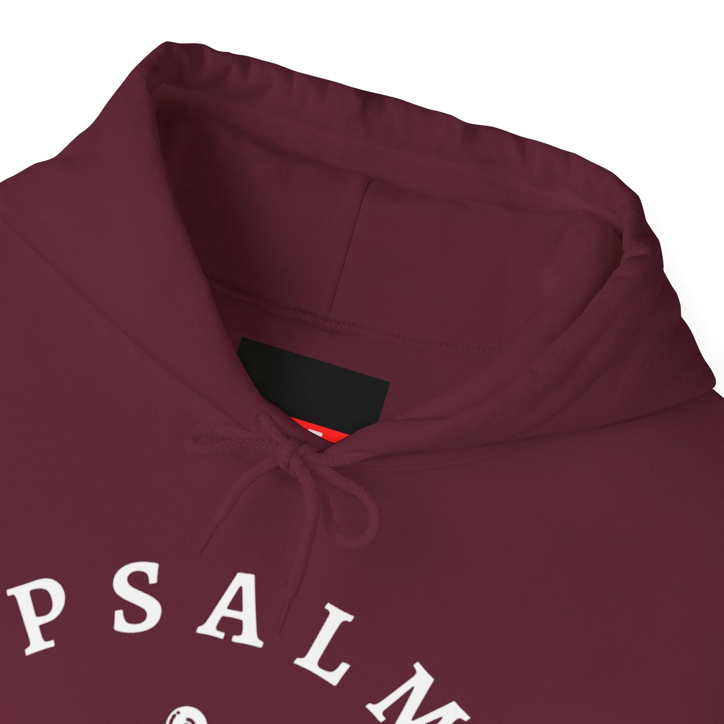 Psalm 91 Hooded Sweatshirt