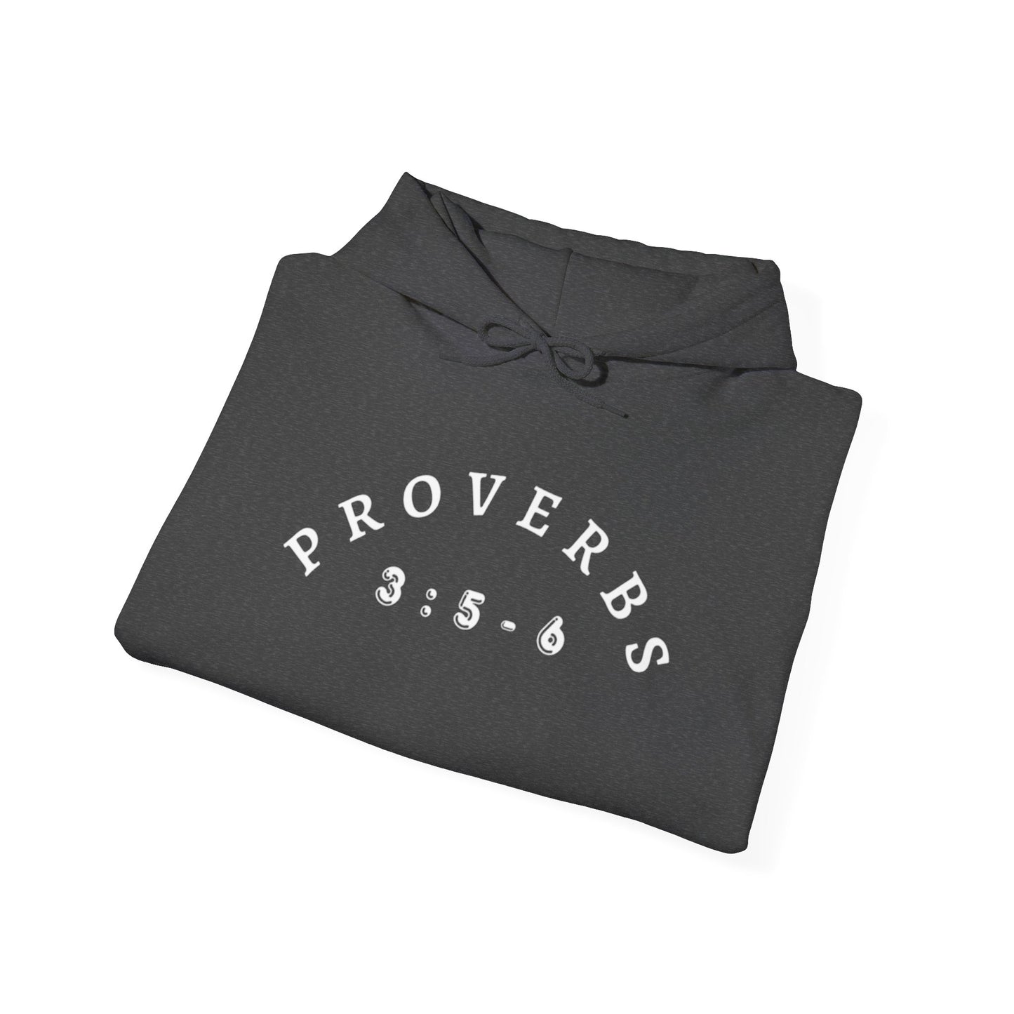 Proverbs 3:5-6 Heavy Blend Hooded Sweatshirt