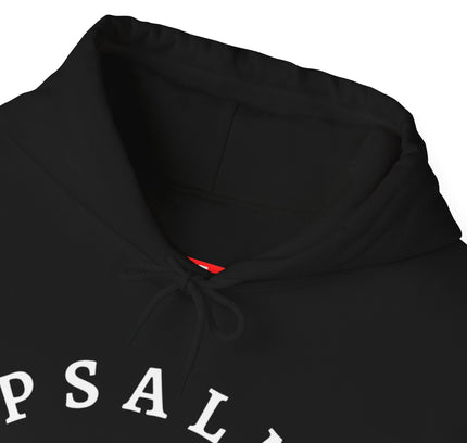 Psalm 46:10 Hooded Sweatshirt