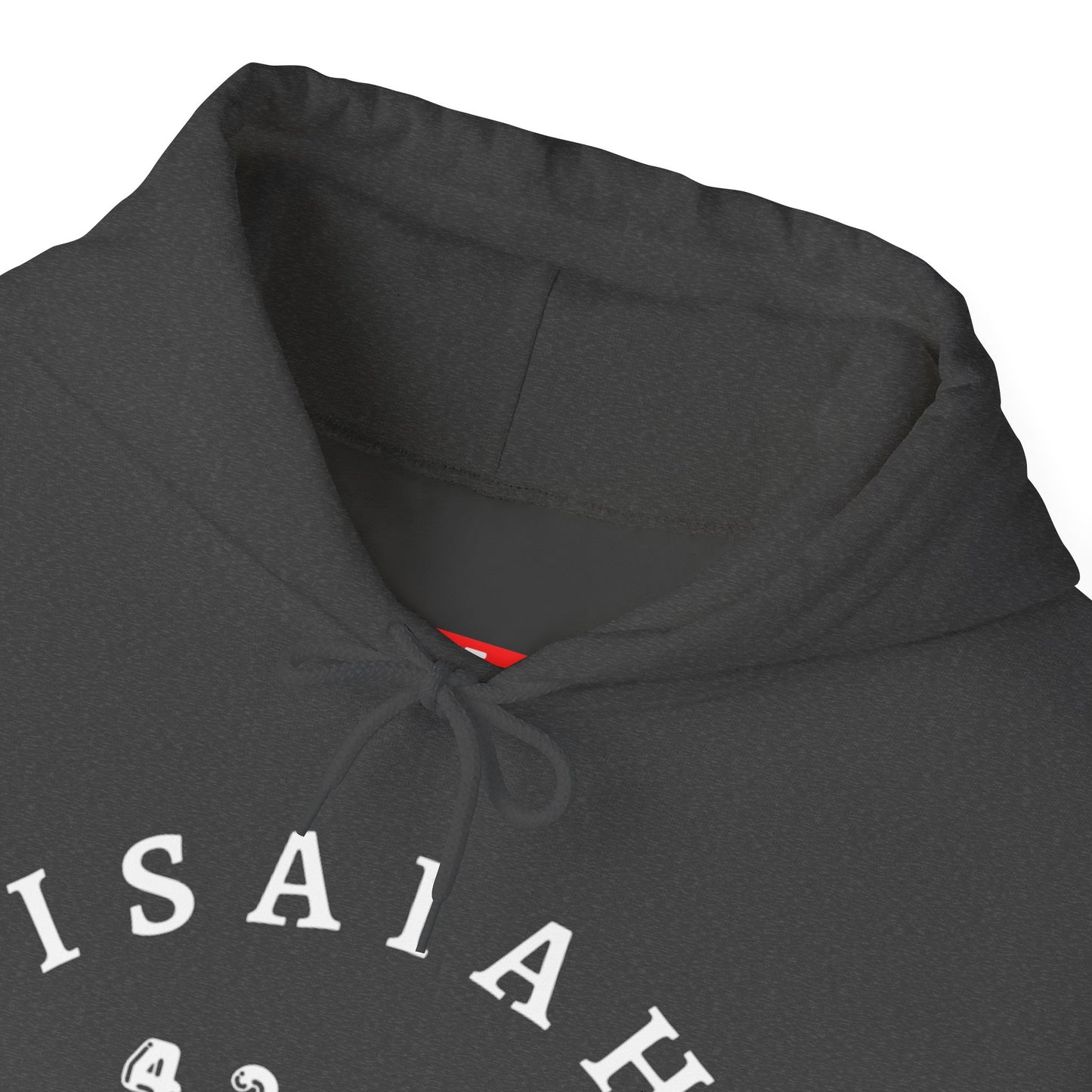 Isaiah 43:19 Hoodie Sweatshirt
