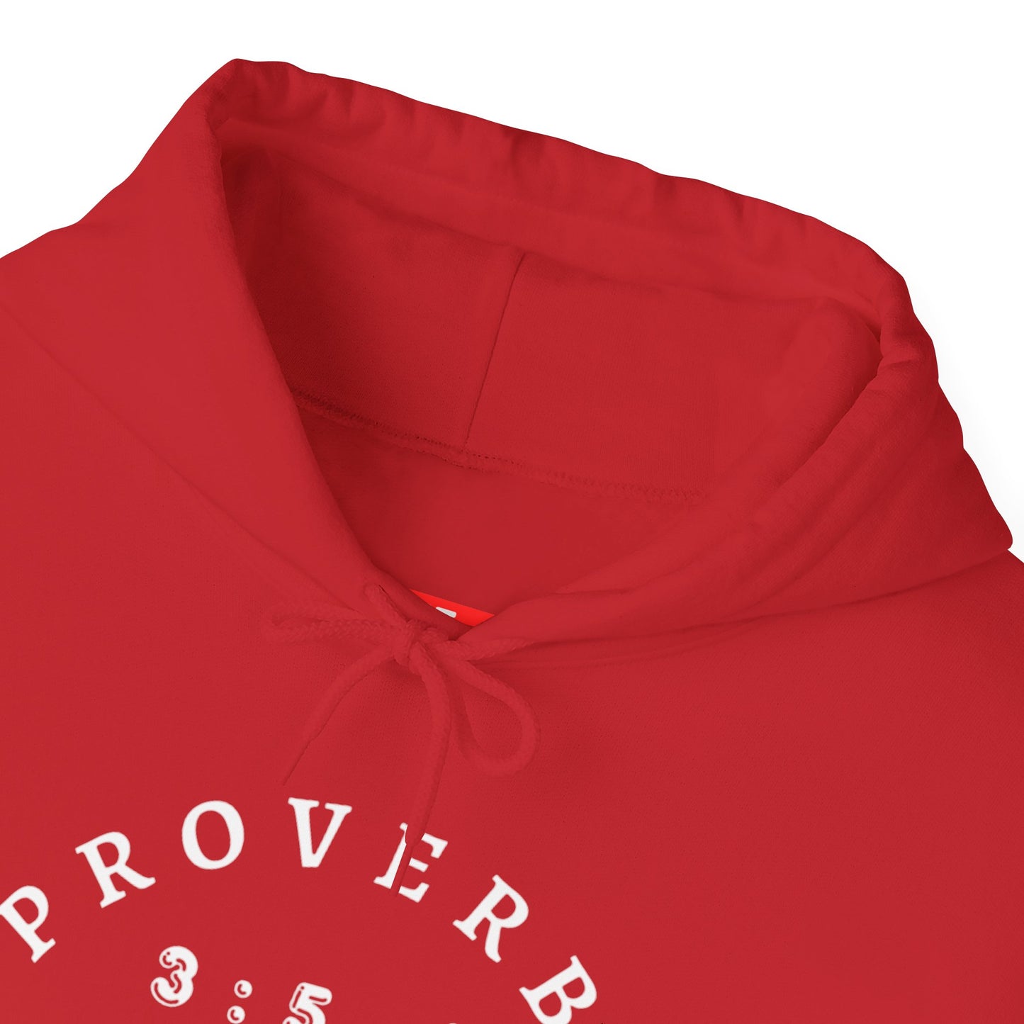 Proverbs 3:5-6 Heavy Blend Hooded Sweatshirt